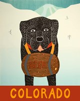 Colorado Beer Dog Black Fine Art Print