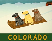 Colorado Sled Dogs Fine Art Print
