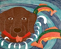 Fish are Jumping Choc Fine Art Print