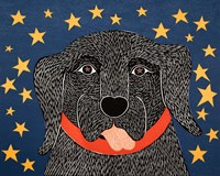 I See Stars Fine Art Print