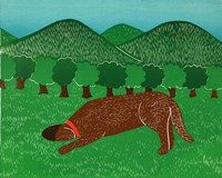 Into Thin Air Choc Fine Art Print