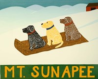 Mt. Sunapee Sled Dogs Template Fine Art Print