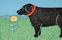 Nature Dog Good Dog Fine Art Print