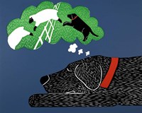 Sleep Black Fine Art Print