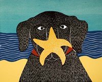 Starfish Fine Art Print