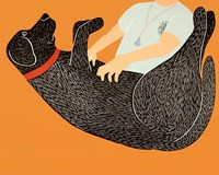 The Vet Exam Fine Art Print