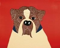 We Can Choose Boxer Framed Print