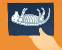 X-ray Fine Art Print