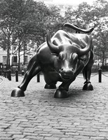 Wall Street Bull Sculpture 1 Framed Print