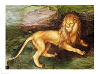 Lion Fine Art Print
