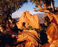 Garden of the Gods, CO Fine Art Print