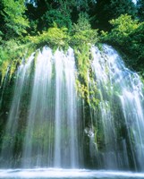 Mossbrae Falls, CA Fine Art Print