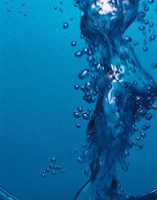 Water Bubbles Fine Art Print