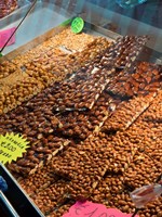 Porta a Lucca, Pisa, Tuscany, Italy Fine Art Print