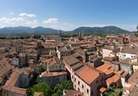 Torre Guinigi, Lucca, Tuscany, Italy Fine Art Print