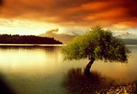 South Island, New Zealand Fine Art Print