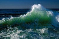 Pacific Coast, Oregon Fine Art Print