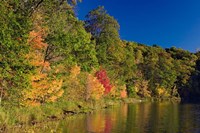 Pillsbury State Forest, Minnesota Fine Art Print