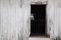 Helen Keller Birthplace And Home, Colbert County, Alabama Fine Art Print