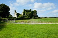 Moydrum Castle, Athlone, Republic of Ireland Fine Art Print