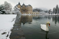 Chateau de Vizille, Swan lake, France Fine Art Print