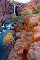 Havasu Falls, Grand Canyon National Park, Arizona Fine Art Print