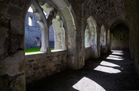 The Cloisters in Killmallock 12th Century Dominican Friary, Co Limerick, Ireland Fine Art Print