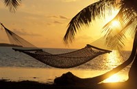 Hammock at Sunset Fine Art Print