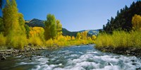 San Miguel River, Colorado Fine Art Print