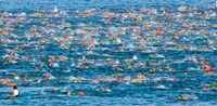 Ford Ironman World Championship, Kailua Kona, Hawaii Fine Art Print