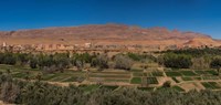 Tinghir Oasis, Province De Tinghir, Souss-Massa-Draa, Morocco Fine Art Print
