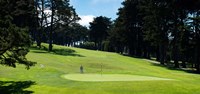 Player at Presidio Golf Course, San Francisco, California Fine Art Print