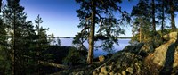 Lake Saimaa, Puumala, Finland Fine Art Print
