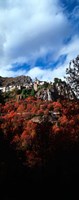 Roubion Village, Provence-Alpes-Cote d'Azur, France Fine Art Print