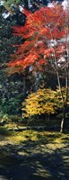 Statue of Buddha in a garden, Anraku-Ji Temple, Kyoto Prefecture, Japan Fine Art Print
