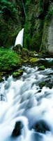 Wahclella Falls, Columbia River Gorge, Oregon Fine Art Print