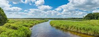 Myakka River State Park, Sarasota, Florida Fine Art Print