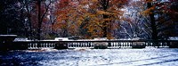 Snow Covered Balcony in Central Park, New York City Fine Art Print