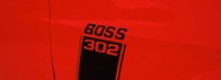 Boss 302 Emblem Fine Art Print
