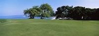 Trees on a Golf Course, Manua Kea, Hawaii Fine Art Print
