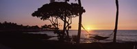 Hammock on the Beach, Fairmont Orchid, Hawaii Fine Art Print