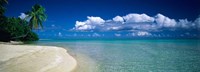 Palm Tree in the French Polynesia Fine Art Print