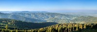 Hornisgrinde Mountain, Black Forest, Baden-Wurttemberg, Germany Fine Art Print