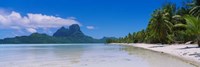 Palm Trees in Bora Bora, French Polynesia Fine Art Print