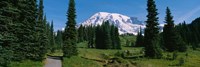 Mt. Rainier National Park, Washington State Fine Art Print