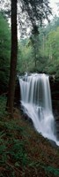 Dry Falls, Nantahala National Forest, Macon County, North Carolina Fine Art Print