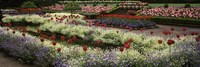 Butchart Gardens, Brentwood Bay, Vancouver Island, Canada Fine Art Print
