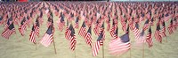 9/11 Tribute Flags, Pepperdine University, Malibu, California Fine Art Print