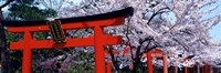 Japan Takenaka Inari Shrine Fine Art Print