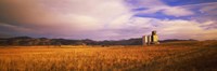 Grain Elevator, Fairfield, ID Fine Art Print